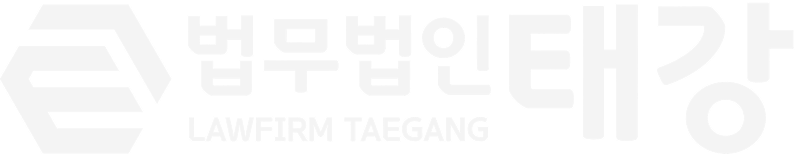 법무법인태강 E-VISA